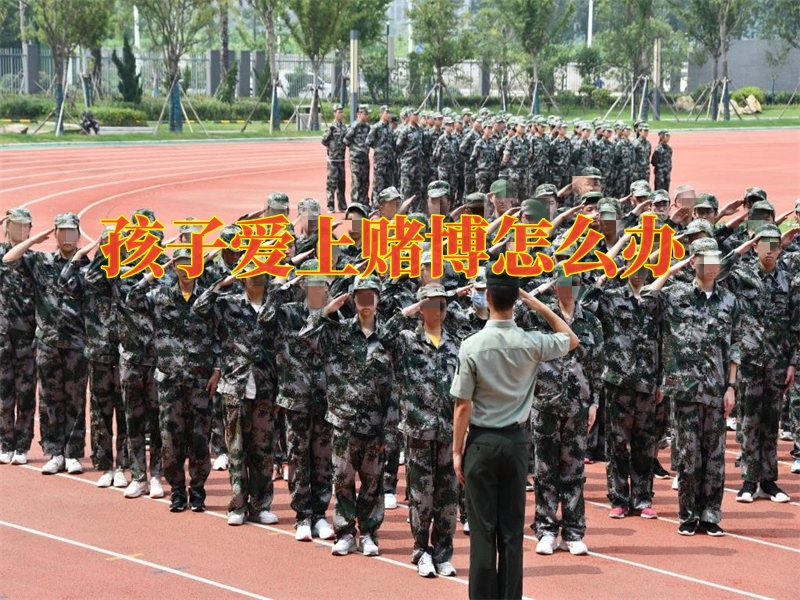 问题青少年教育学校,封闭式军事化学校