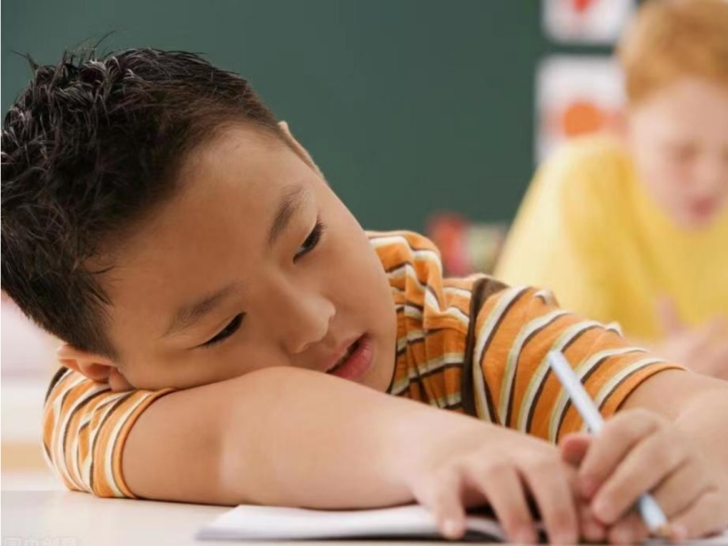 懒惰,行为矫正学校