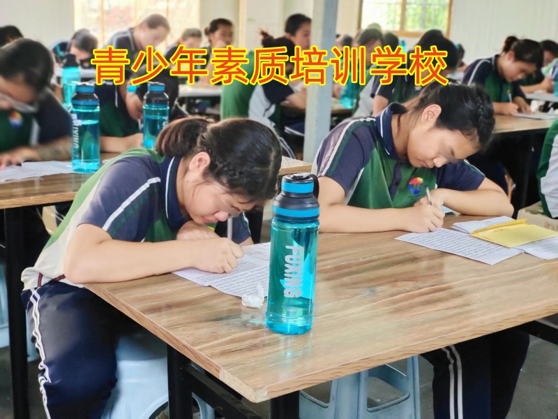 孩子打架斗殴,素质教育学校