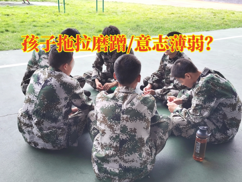 孩子拖拉,孩子不写作业