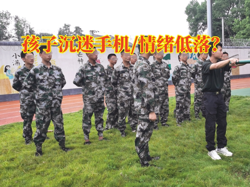 孩子手机瘾,孩子沉迷手机