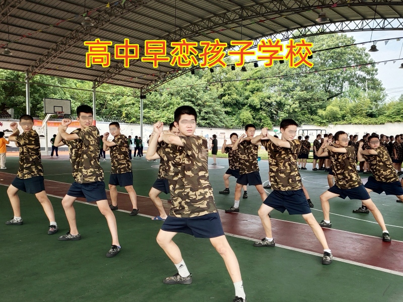 高中恋爱,早恋教育学校