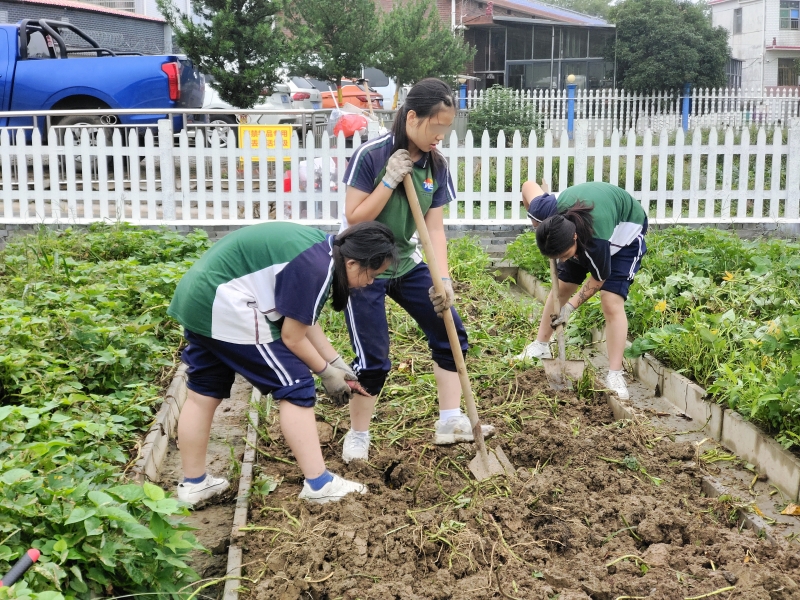 新起点青少年特训学校,特训学校
