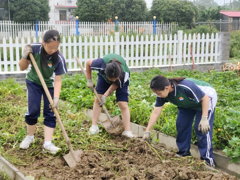 新起点青少年特训学校,特训学校