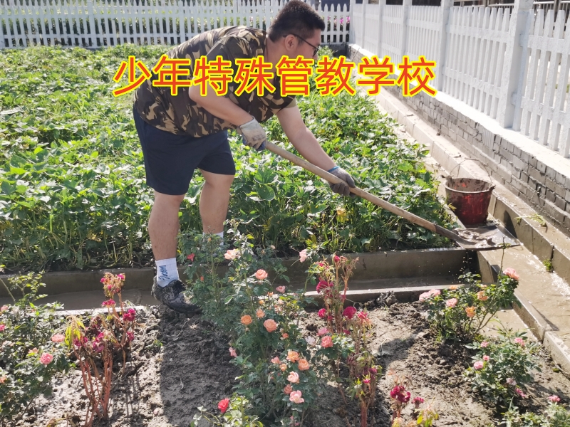 孩子离家出走,叛逆管教学校