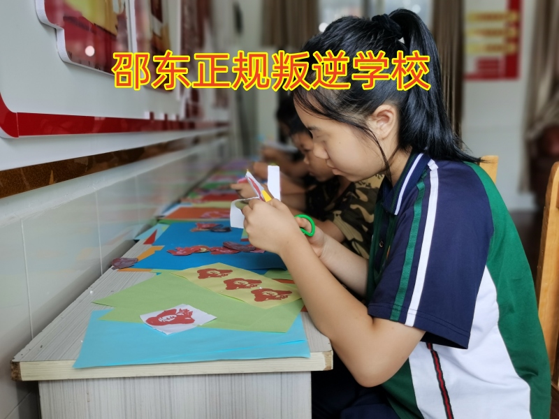 小孩子太自私,孩子叛逆期教育学校