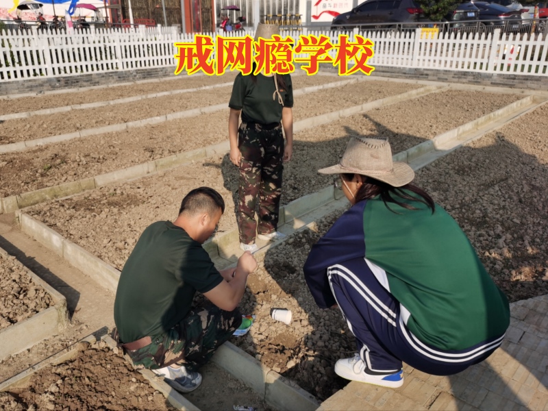 孩子沉迷小说,戒网瘾学校