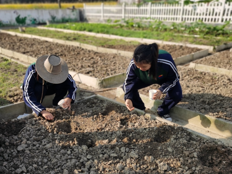 新起点青少年特训学校,青少年特训学校