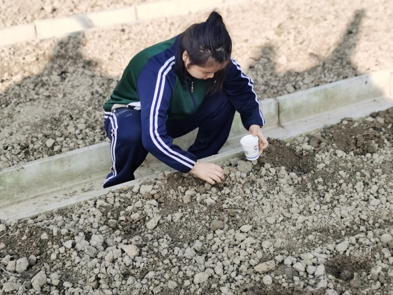 新起点青少年特训学校,青少年特训学校