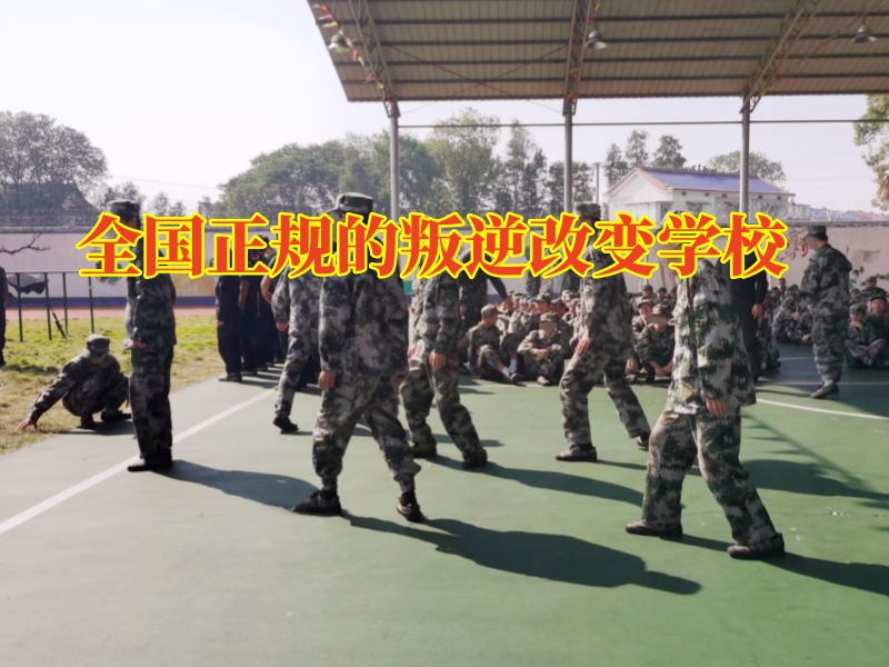 全国正规的叛逆改变学校，青春期孩子总顶撞父母怎么办