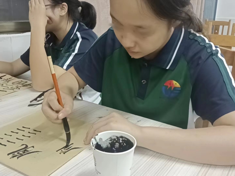 开展书法教育，领略文化之美，新起点教育专门学校