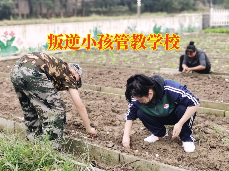 叛逆小孩管教学校，孩子爱顶撞,孩子叛逆期教育学校