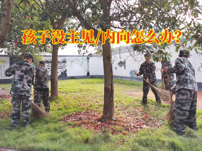 没主见的孩子，三招让孩子变得有主见