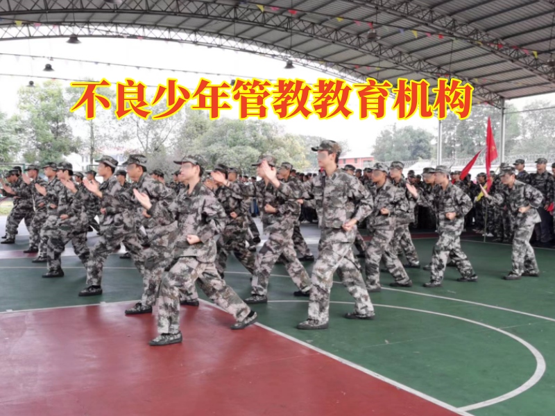 不良少年管教教育机构，不良少年管教教育机构分析孩子不懂感恩的影响