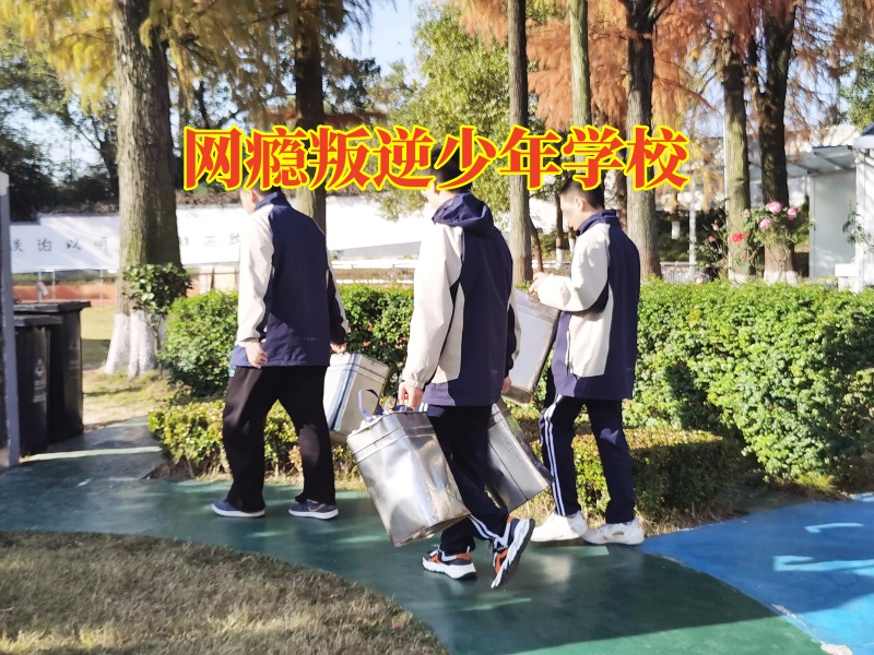 网瘾叛逆少年学校，网瘾叛逆少年学校分析孩子看不健康视频的原因