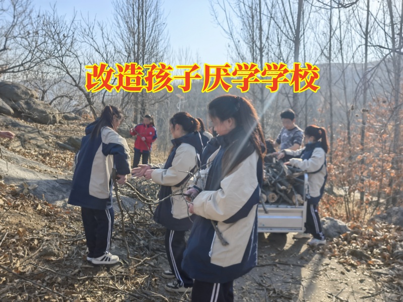 改造孩子厌学学校，改造孩子厌学学校针对孩子成绩下降的原因分析