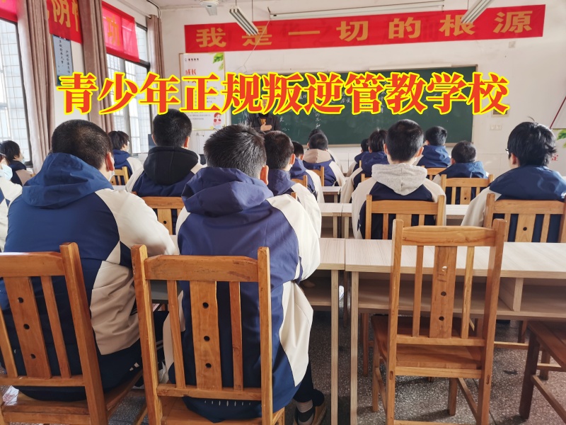青少年正规叛逆管教学校，青少年正规叛逆管教学校对孩子混社会的建议