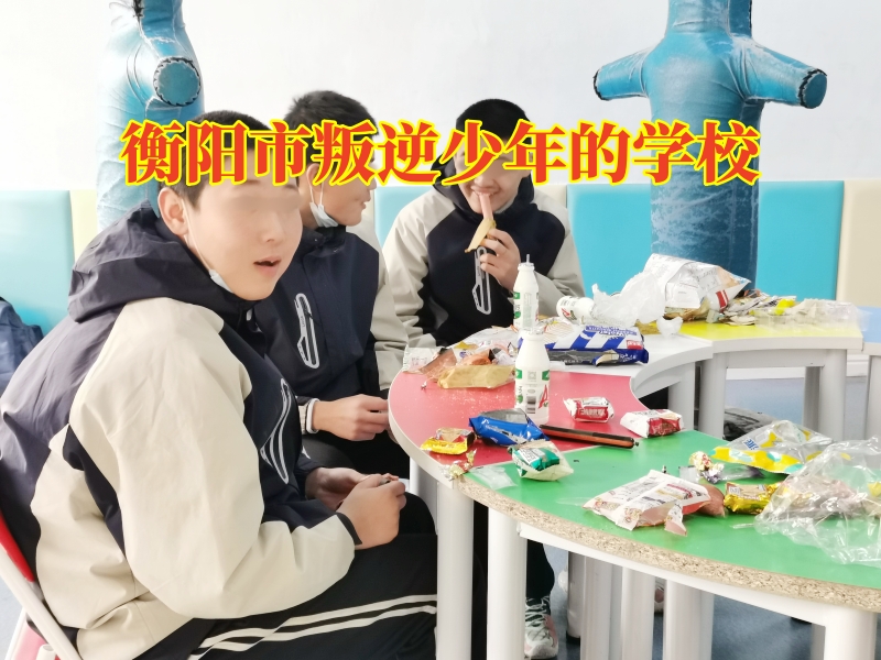 衡阳市叛逆少年的学校，衡阳市叛逆少年的学校针对孩子乱交朋友的三点对策