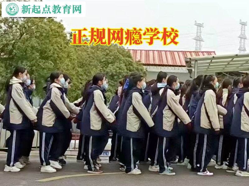 正规网瘾学校，正规网瘾学校对孩子沉迷游戏的原因分析