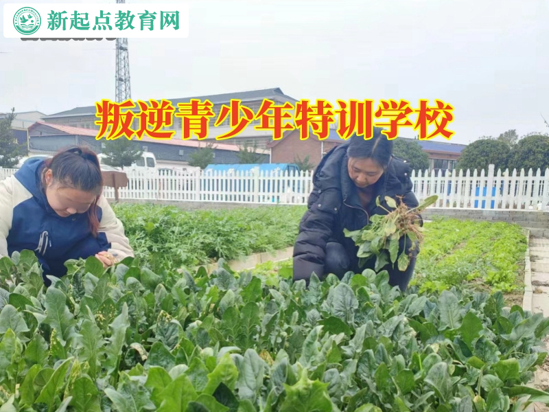 叛逆青少年特训学校，叛逆青少年特训学校针对孩子拒绝沟通怎么办的建议