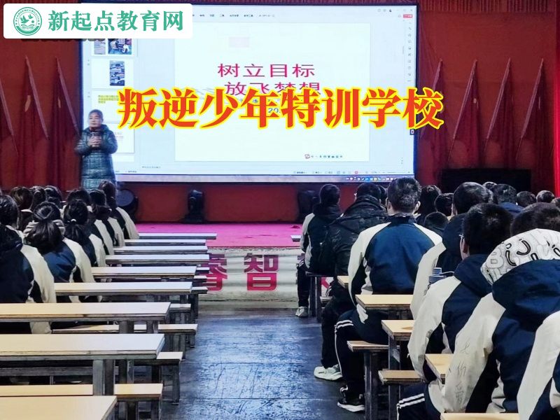 叛逆少年特训学校，叛逆少年特训学校学费