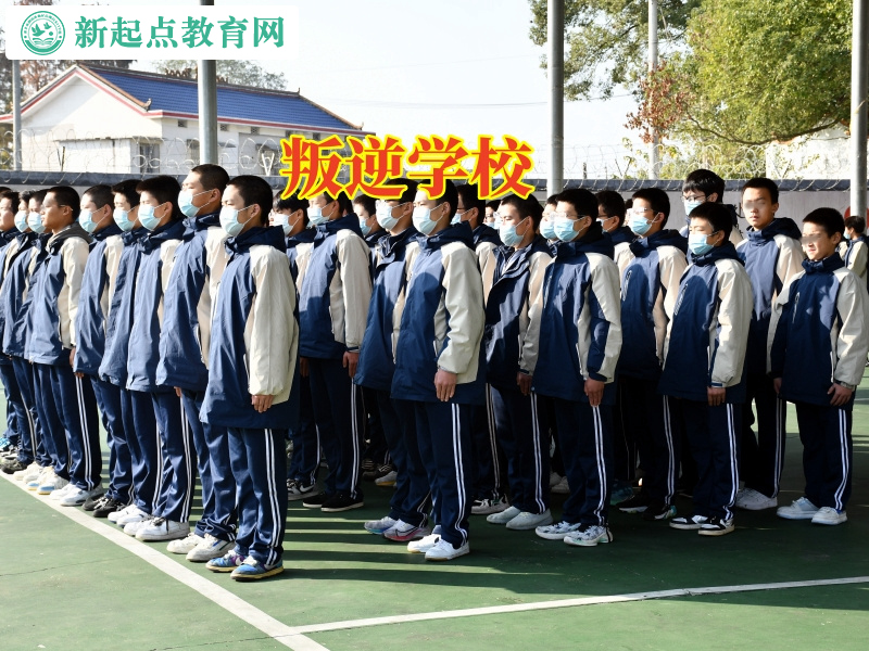 叛逆学校对孩子有用吗