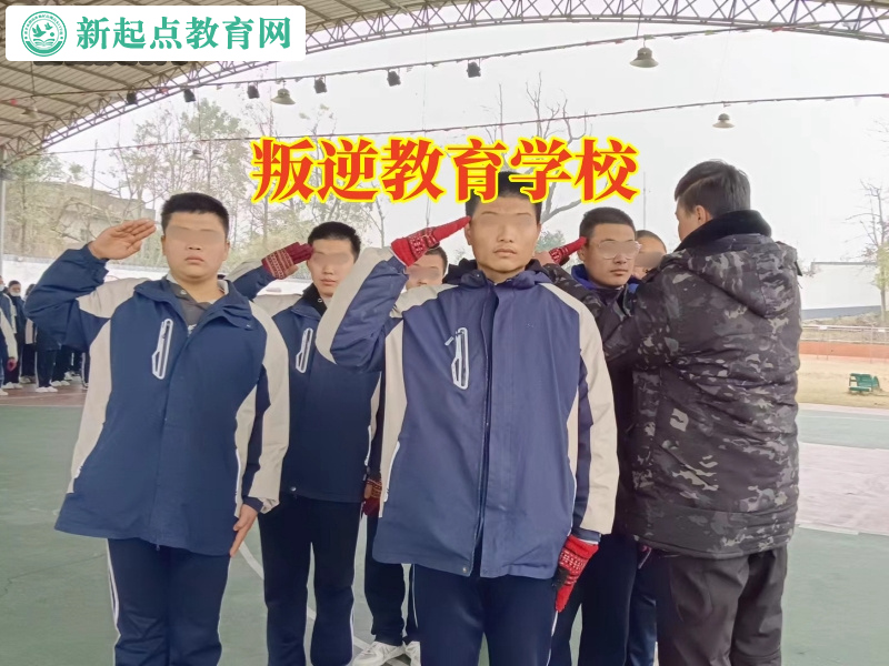 叛逆教育学校，叛逆教育学校分析孩子不回家的原因