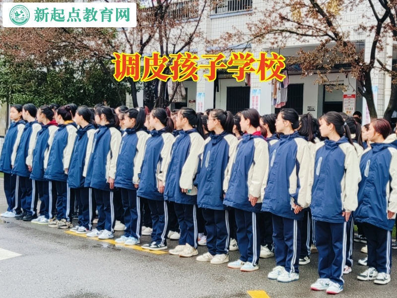 调皮孩子学校，调皮孩子学校建议这样制止孩子赌博