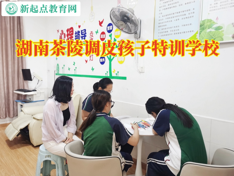 湖南茶陵调皮孩子特训学校建议这样解决孩子打架问题