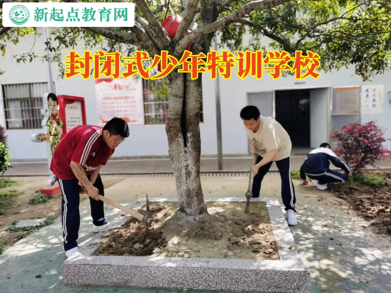 封闭式少年特训学校这样教育爱偷东西的熊孩子
