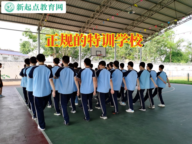 正规的特训学校分析孩子逃学的主要原因