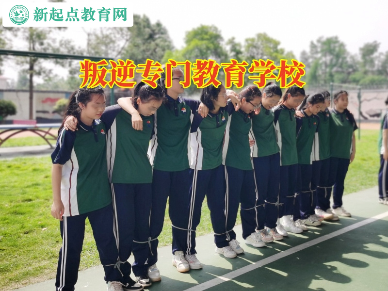叛逆专门教育学校处理孩子不听话的正确方式