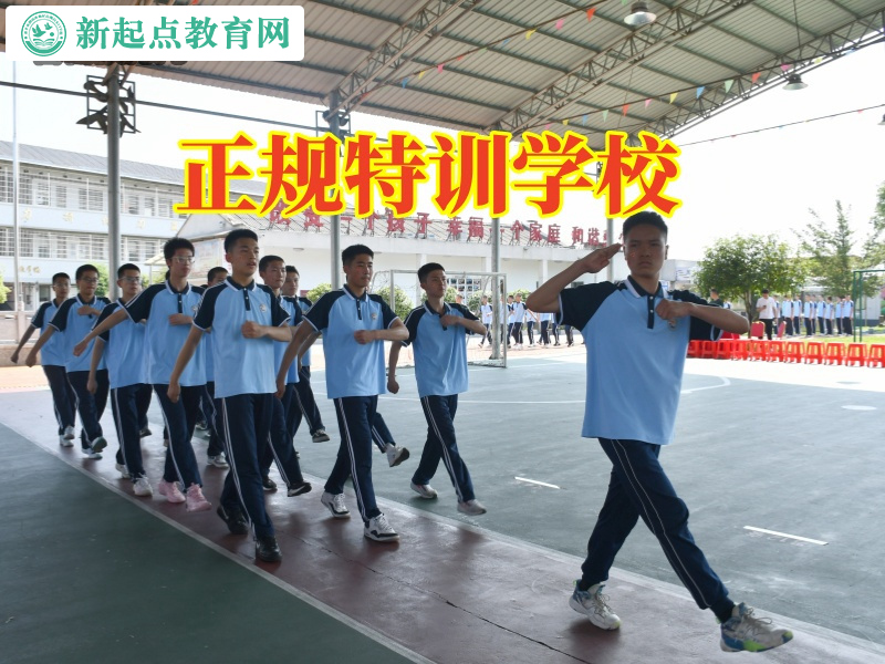 正规特训学校三招教育初中厌学的孩子