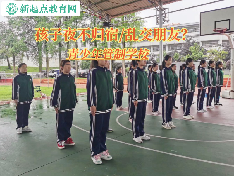 咨询222.jpg