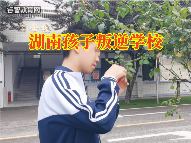 湖南孩子叛逆学校教您教育顶撞的孩子