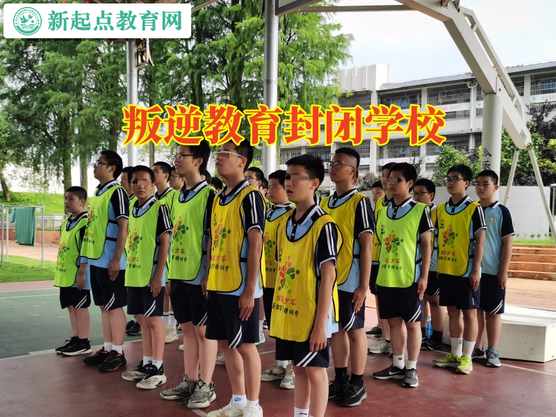叛逆教育封闭学校分析孩子乱交朋友的原因