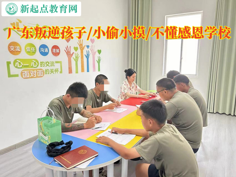 广东叛逆孩子学校分析孩子偷盗行为