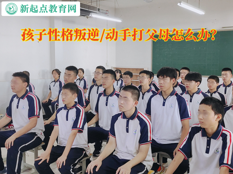 孩子动手打父母怎么办？
