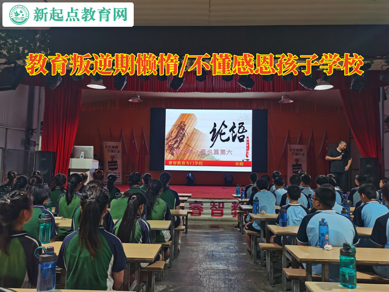 教育叛逆期孩子学校分析懒惰的孩子