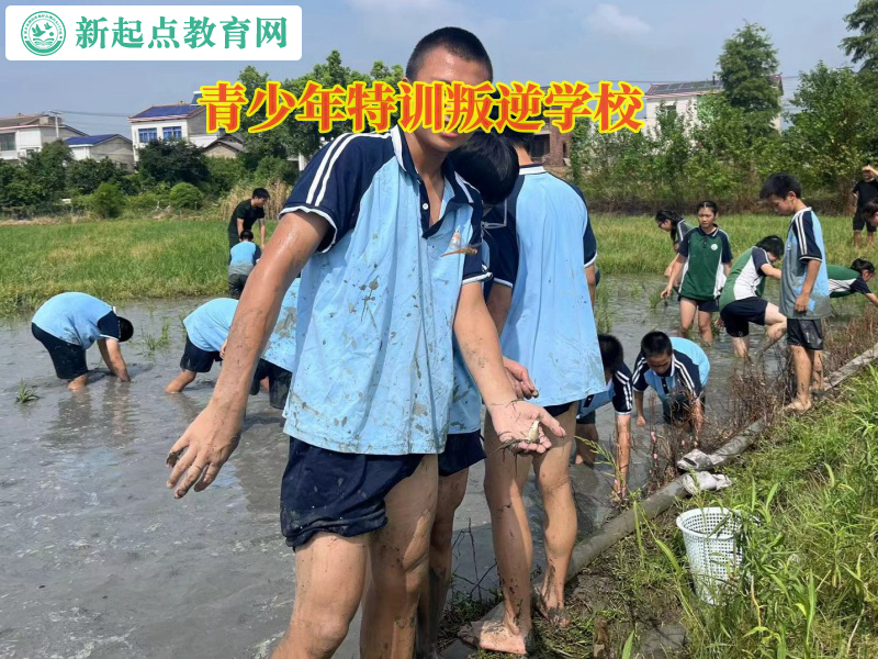 青少年特训叛逆学校告诉孩子不能乱交朋友