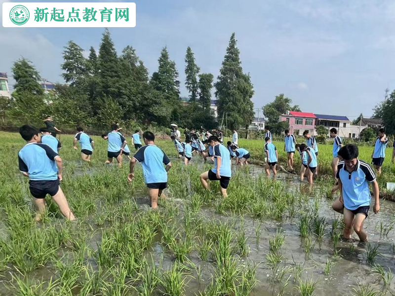 青少年叛逆改变学校组织抓鱼活动