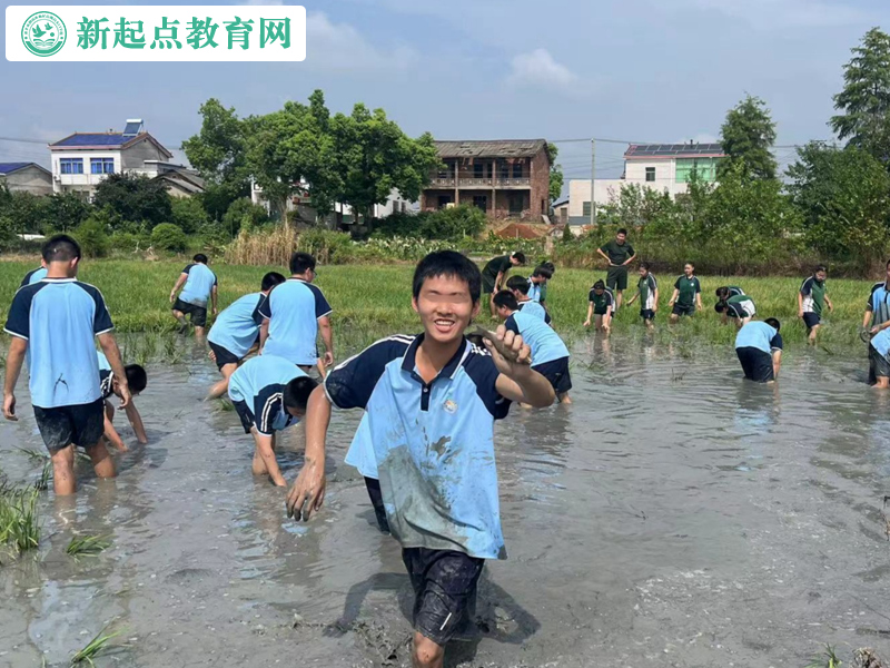 青少年叛逆改变学校组织抓鱼活动