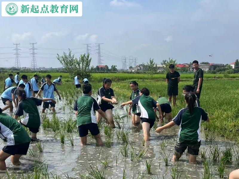 青少年叛逆改变学校组织抓鱼活动