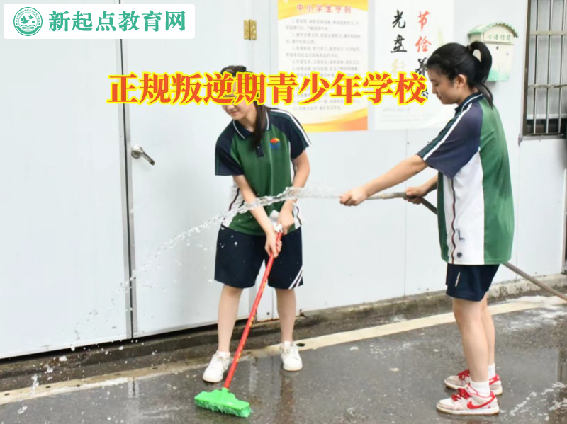 正规叛逆期青少年学校教家长教育有轻生倾向孩子