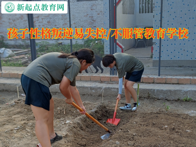 孩子性格叛逆教育学校纠正孩子失控打砸东西行为