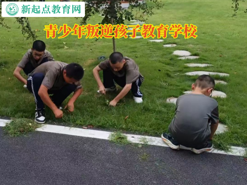 青少年叛逆孩子教育学校教育孩子不要乱花钱