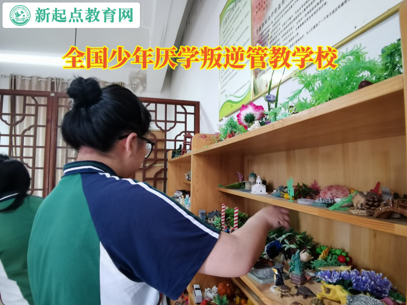 资讯—全国少年厌学叛逆管教学校教育学习态度的孩子