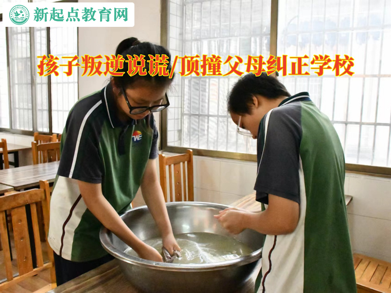 孩子叛逆纠正学校正确处理孩子说谎的情况