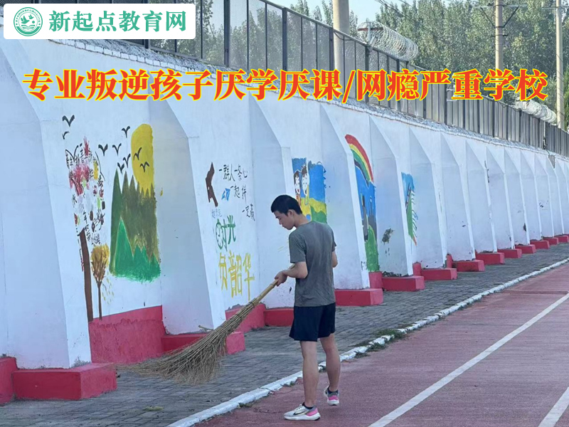 专业叛逆孩子学校转变孩子不写作业的态度