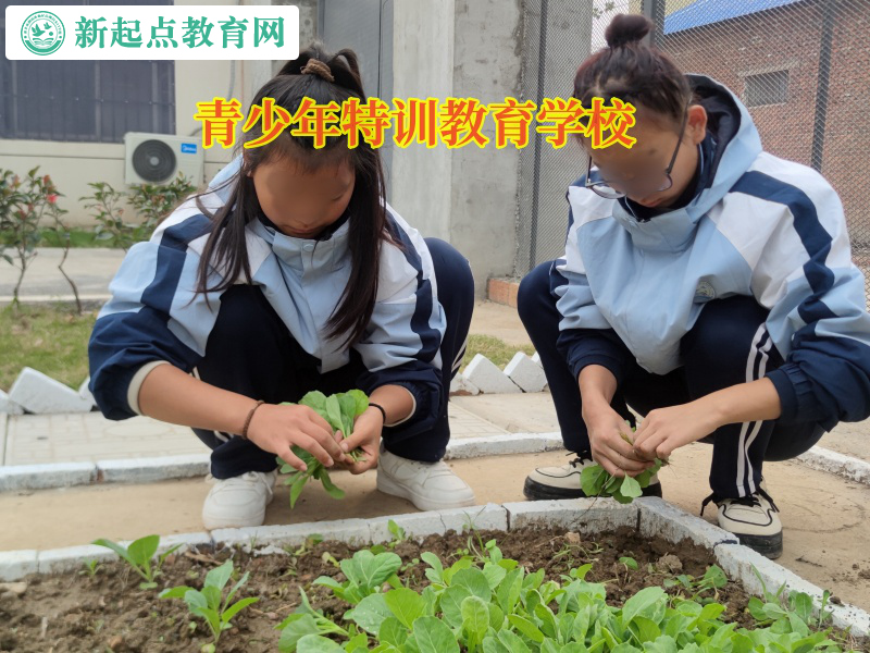 青少年特训教育学校告诉孩子不要沉迷网络游戏